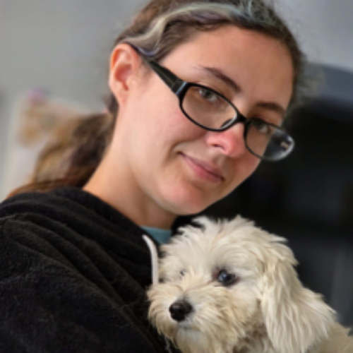 staff with a dog